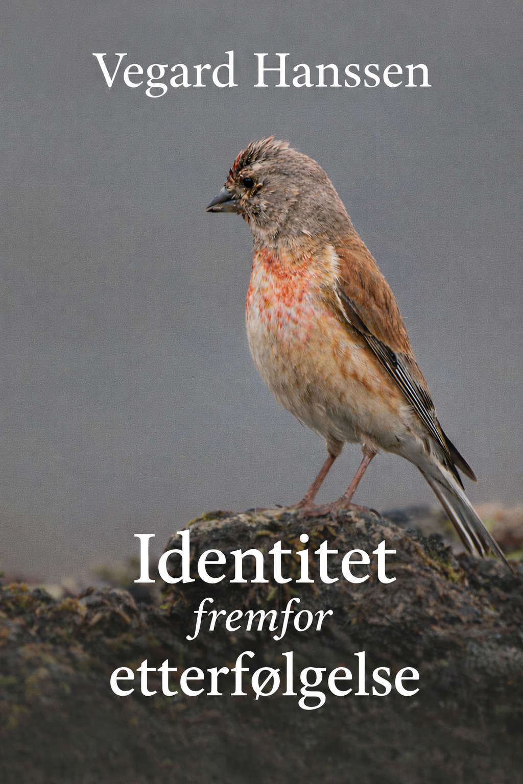 Identitet fremfor etterfølgelse